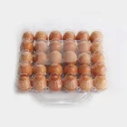 Eggs Tray Egg For Cheap Plastic Tray Free Sample 30 Holes Eggs Tray PET Material Cheap Plastic Egg Packaging For Sale