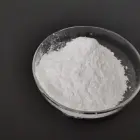 Glucosamine Regulate The Internal Secretion Best Powder Price Hcl Msm N Acetyl Glucosamine