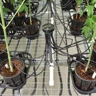 Misting Water System Hanging Fogger Misting Rain Drip Solar Water Pump Automated Irrigation System