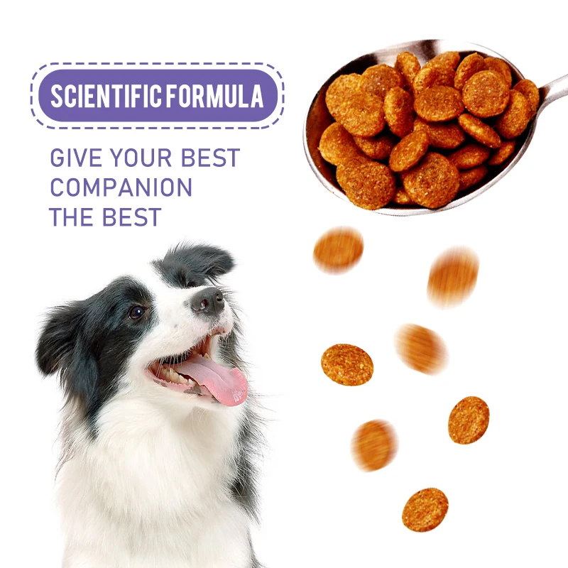 what is the best high protein dog food