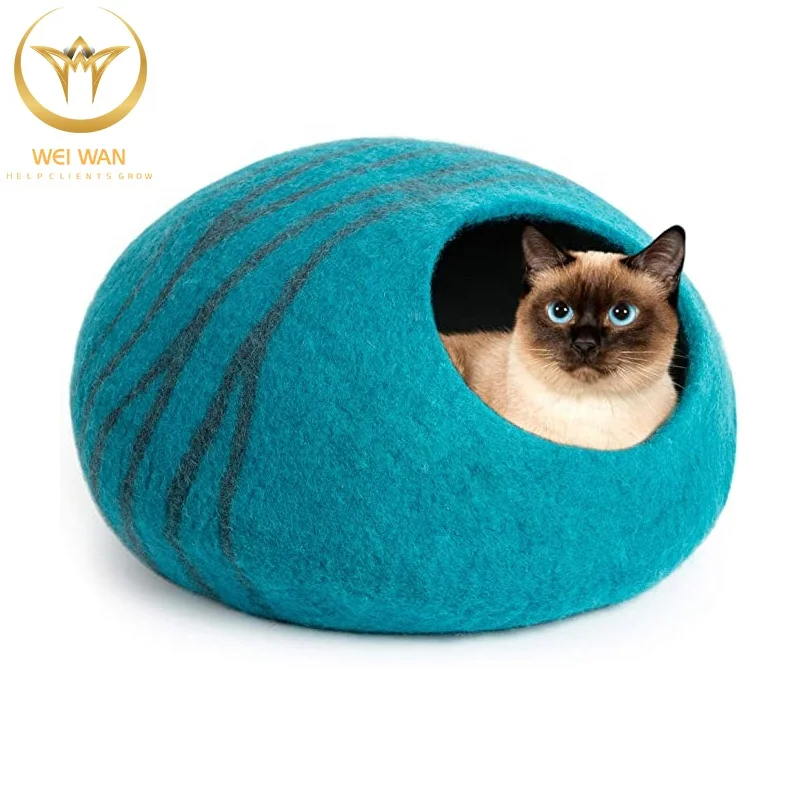 woolen cave cat