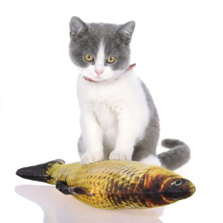 dancing fish cat toy petsmart