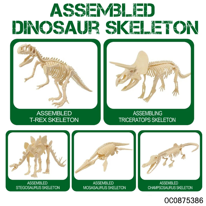 Skeleton dinosaur model fossil digging archaeology toys kit for kids