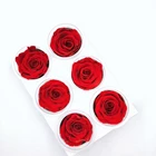 Roses Preserved Roses A Grade Wholesale A Grade 50 Colors Immortal Infinity Eternal Forever Stabilized Preserved Roses