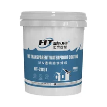 Brushable Premium Coating & Paint Product MS Transparent Waterproof Coating