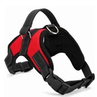 Dog Leather Pet Lead Leash No Gps Tracker Dog Collars Pet Needed 1.2m Portable Leashes Camera