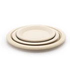 Plate Party Plate Party Degradable Natural Bamboo Fiber Plate