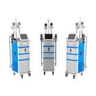 Cool Freeze Fat Machine Cool Shape Vacuum Fat Cell Freezing Suction Slimming Beauty Machine For Cellulite Fat Loss