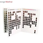 Color High Quality Level Scaled 8-pages Professional Color Cards Book Hair Color Chart Ral