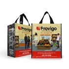 Ecological Promotional Shopping Bags Laminated Hot Sale Ecological Shopping Promotional Laminated PP Woven Bag