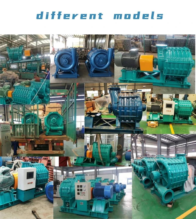 Centrifugal Blower, C55, BORUI, ISO9001 - detail 18