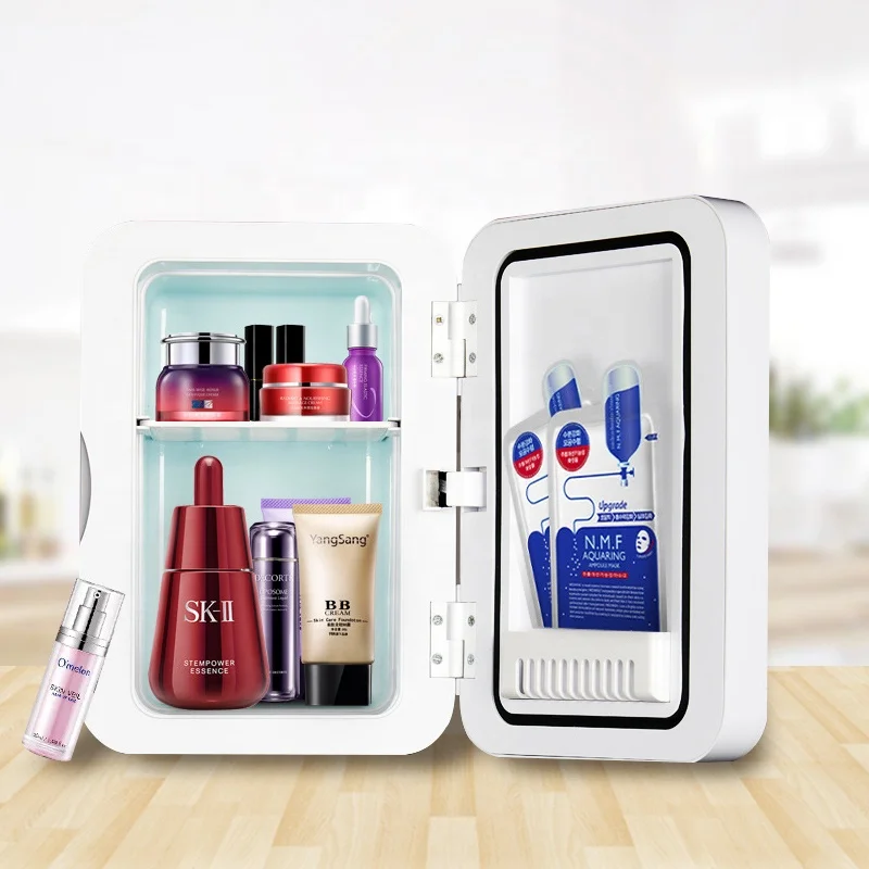 10 Liter AC/DC Portable Mini Beauty Fridge skincare fridge  with mirror and LED light