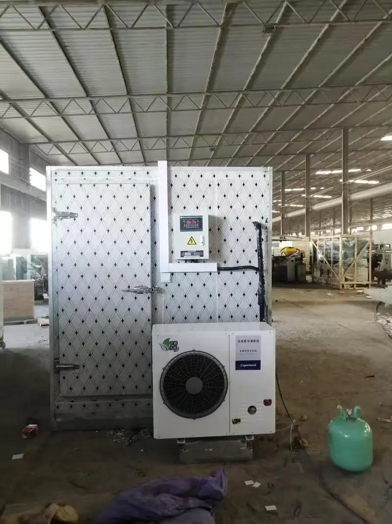 Sell Well Walk-in Freezer, Aluminum Alloy, Cold Storage Door - detail 16