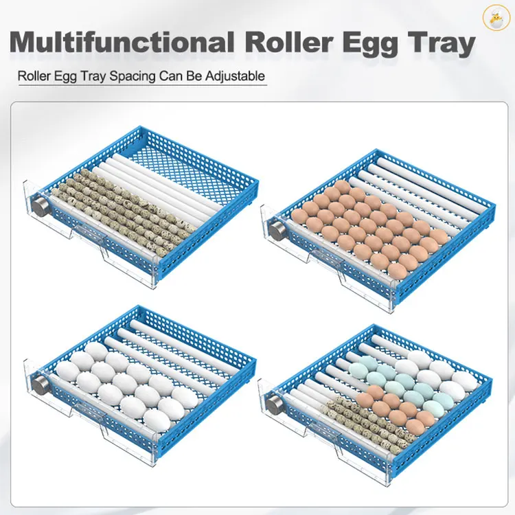 Capacity Eggs Incubator Fan, 64PCS, 110v, PP - detail 10