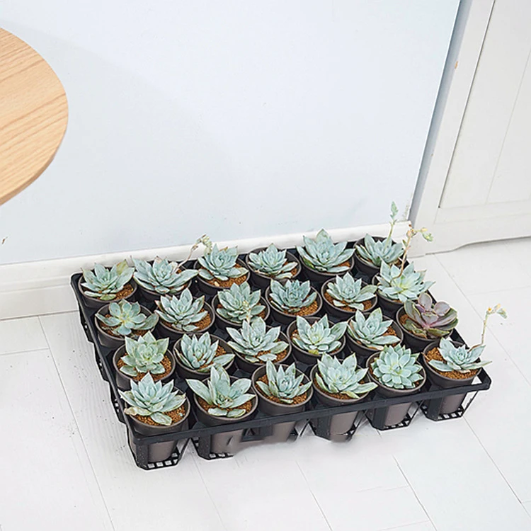 WXL286 24 Holes Nursery Pot Cactus Plant Pot Garden Plastic Black Succulents Planter Pots Seedling Tray