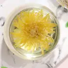 Chrysanthemum Chrysanthemum Tea Blooming Tea Chrysanthemum Tea Gold Emperor Chrysanthemum Flower Tea