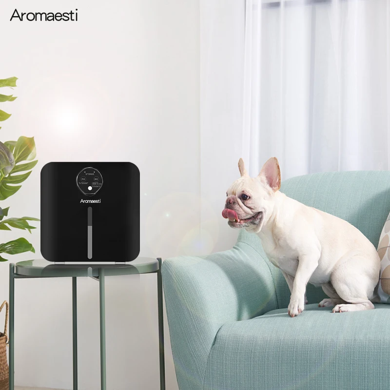 Do Air Purifiers Get Rid Of Dog Smells