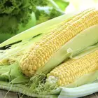 Yellow Corn Yellow Yellow Sweet Corn 340g 800g 2840g