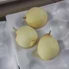 New Pear Pears Pear Fresh Ya Pears/Ya Lie New Crop Pear Sweet Healthy Fresh Pears Fruit Wholesale Price