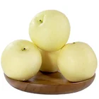 Pear Best Selling Fresh Pears Good Quality New Crop