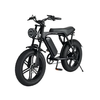 Electric Bike Mid Motor Bicycles Fat Tire E Bike Elektrikli Bisiklet