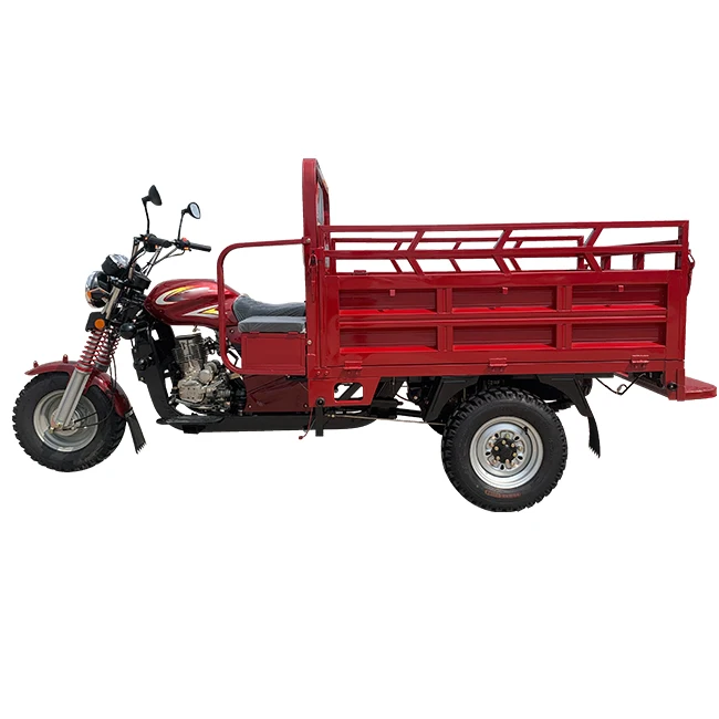Bajaj 150cc Cargo Motorcycle 3 Wheel 