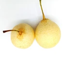 Pear Asian Pears Pear Fruit Pear Best Selling Fresh Pear Fruit Asian Pears Ya Pear For Sale