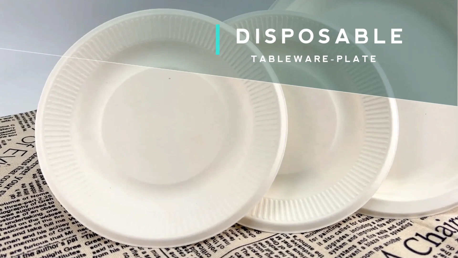 Disposable Tray Eco Friendly Microwavable Dish Biodegradable Sugarcane