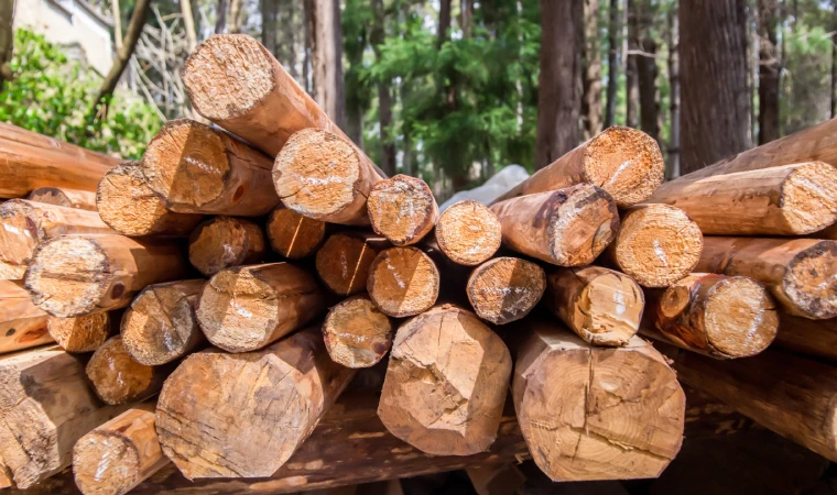 韩国明年起对非法木材产品实施进口联合查验