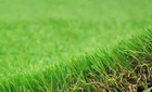 Roof Multi-function Residential Synthetic Grass Roof Courtyard Indoor Garden