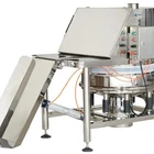 Enclosed Structure 1000 Kg Ton Bag Discharge Station Big Bag Empty Machine
