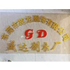 Dongguan Qianlong Clothing Co., Ltd.