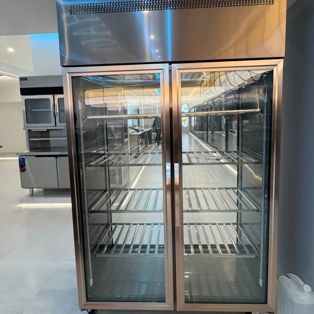 Saving Stainless Steel Freezer, 220 V - detail 50