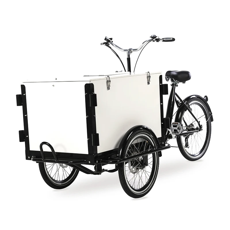 sol overflade konsonant Retro Electric Cargo Bike 250w Motor Power Assist Cargo Tricycle With Pedal  Three Wheel Bicycle Box With Wooden Cover Sls-0006 - Buy Cargo Bike,Electric  Cargo Bike,Electric Cargo Bike Product on Alibaba.com