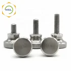 Screw Stainless Steel Thumb Screw M3 M2.5 Thumb Screw