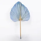 Leaves Wholesale Palm Natural Color Dried Palm Spears Fans Leaves For Room Decoration Or Wedding