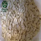 Shine Skin Wholesale New Crop Shine Skin Pumpkin Seeds