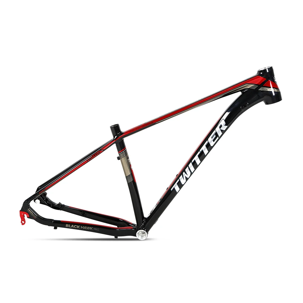 19 mountain bike frame