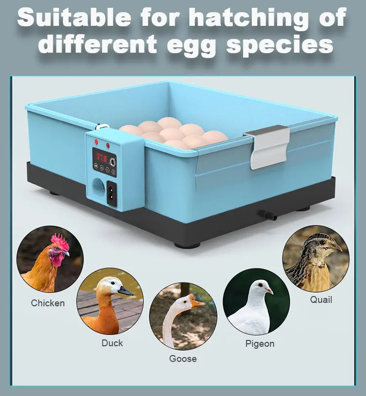 Egg Incubator Fan, 20PCS, 110V or 220V, PP - detail 20