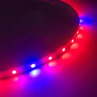 Red Led Strip Led 2835 Led Grow Light Strip Dc12v 24w Smd 2835 Infrared 60leds 670nm 730nm Far Red Led Strip Grow Light