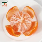 Direct Sales Of Fresh Citrus Production Areas That Are Grown Healthy And Far Away From Urban Pollution
