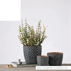 Dog Marble Hexagon Wooden And Plain White Ceramic Planter
