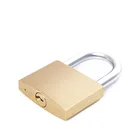 Family Iron Padlock Brass 30mm Brass Colored Imitated Painting Family Home Children Notebook Iron Padlock