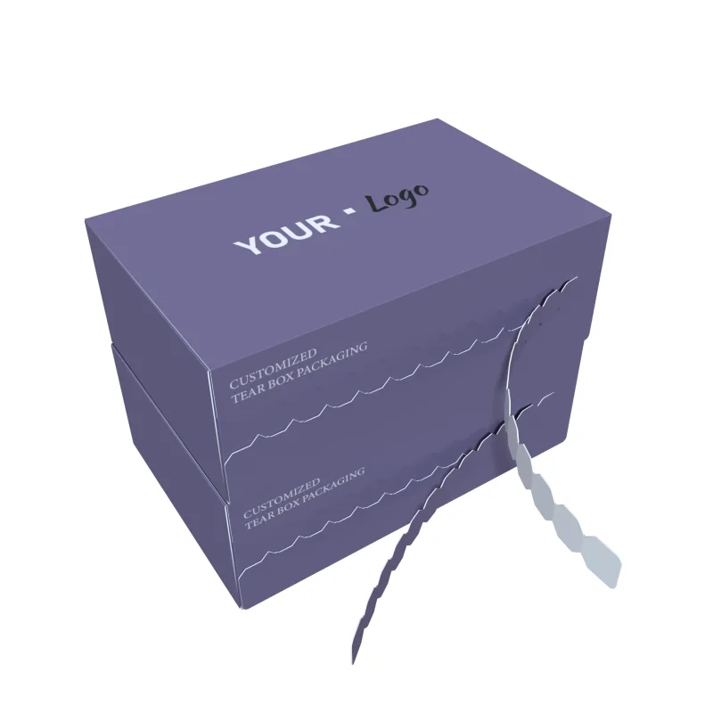product eco friendly zipper mailing box customize lingerie packaging box with your own logo soy ink cardboard paper box for underwear-3