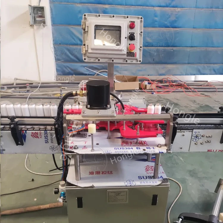 Full Automatic Aerosol Detergent Pesticides Automotive Carb Cleaner Filling Machine Production Line Maquina De Espuma En Aerosol manufacture