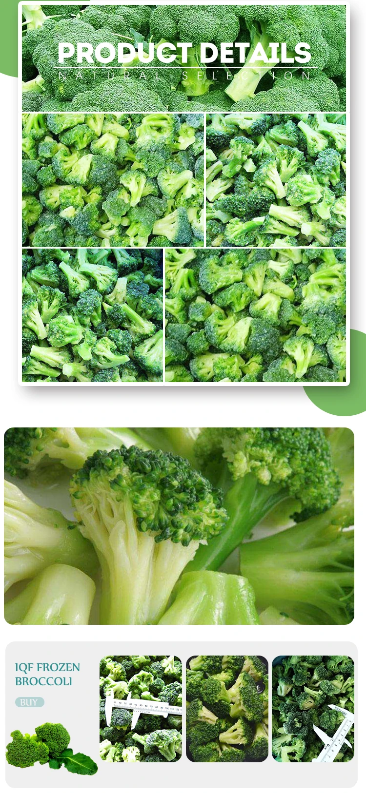 Hot Sale IQF Frozen Vegetables Broccoli Frozen Broccoli with Good Price details