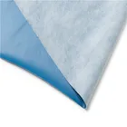 Non-woven Fabric Eco-Friendly Microporous Breathable Film Laminated With Non-woven Fabric With Competitive Price