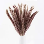 Artificial Flowers Factory Wholesale Amazon Hot Seller Wedding Decoration Long Feather Colorful Dried Small Pampas Grass