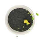 Coal Manufacturer Active Coke Coal Based Pellet Activated Carbon