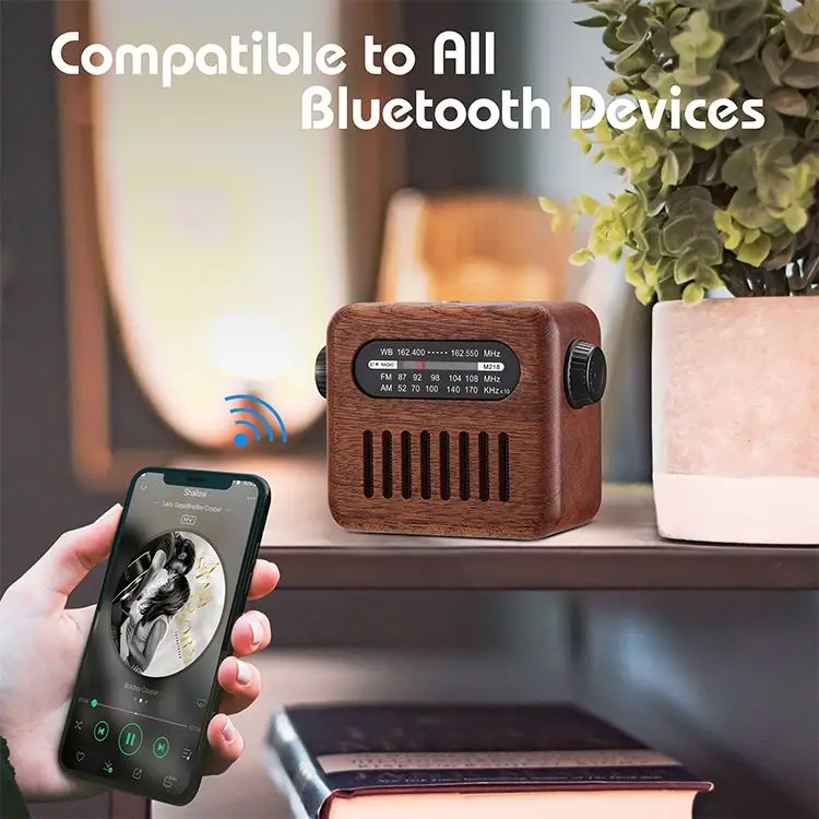 Radio Wave Build-In Battery Box Am Fm vintage mini Radio BT Speaker with USB